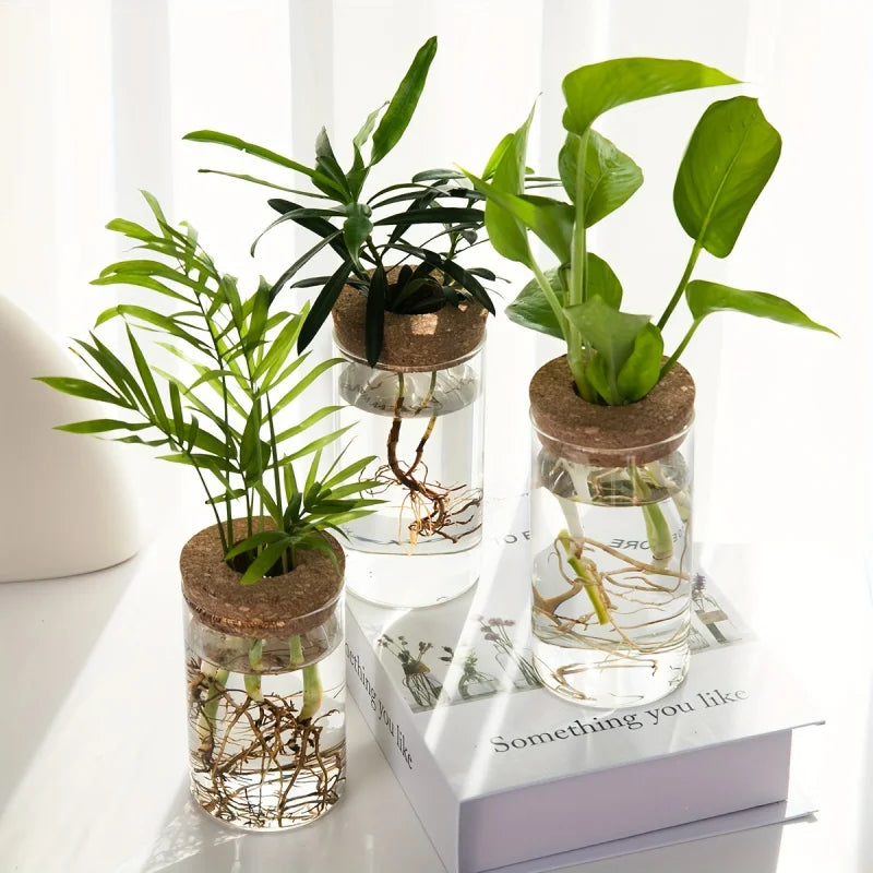 Desktop Glass Hydroponic Planter (not including plants)