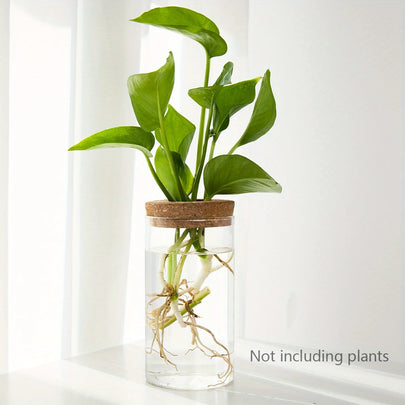 Desktop Glass Hydroponic Planter (not including plants)
