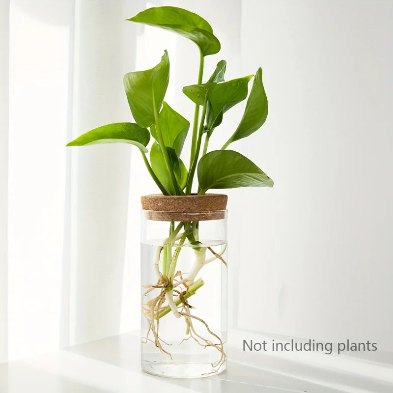 Desktop Glass Hydroponic Planter (not including plants)